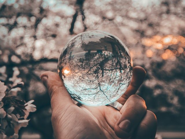hand holding crystal ball inverting background of tree branches